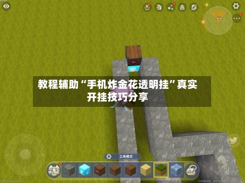 教程辅助“手机炸金花透明挂”真实开挂技巧分享