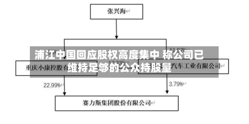 浦江中国回应股权高度集中 称公司已维持足够的公众持股量-第1张图片