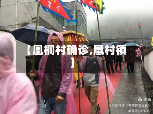 【凰桐村确诊,凰村镇】