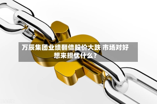 万辰集团业绩翻倍股价大跌 市场对好想来担忧什么？