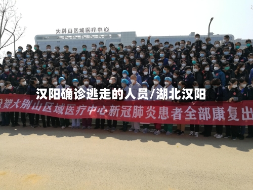 汉阳确诊逃走的人员/湖北汉阳