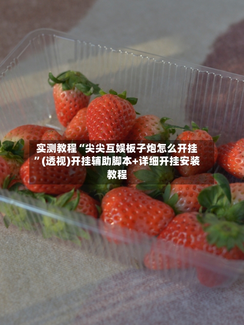 实测教程“尖尖互娱板子炮怎么开挂”(透视)开挂辅助脚本+详细开挂安装教程