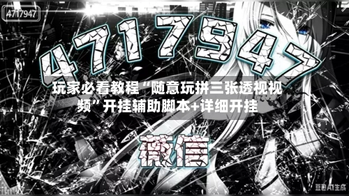 玩家必看教程“随意玩拼三张透视视频”开挂辅助脚本+详细开挂