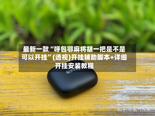 最新一款“呼包鄂麻将胡一把是不是可以开挂”(透视)开挂辅助脚本+详细开挂安装教程