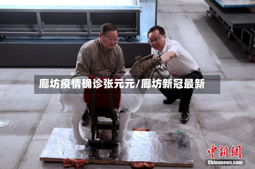 廊坊疫情确诊张元元/廊坊新冠最新
