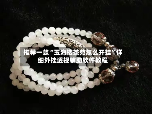 推荐一款“玉海楼茶苑怎么开挂”详细外挂透视辅助软件教程