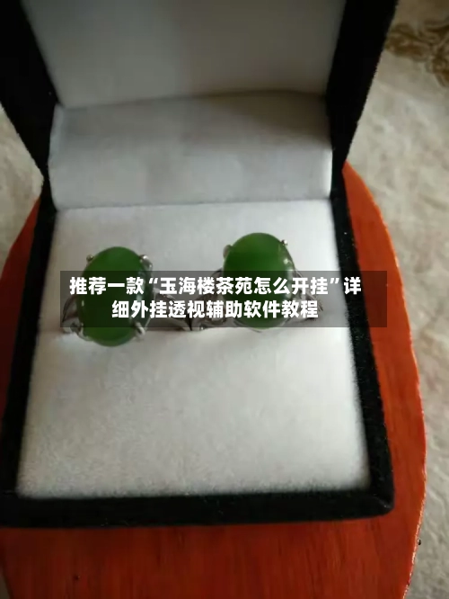推荐一款“玉海楼茶苑怎么开挂”详细外挂透视辅助软件教程