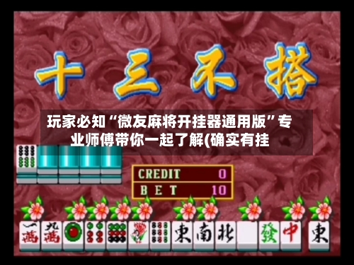 玩家必知“微友麻将开挂器通用版”专业师傅带你一起了解(确实有挂