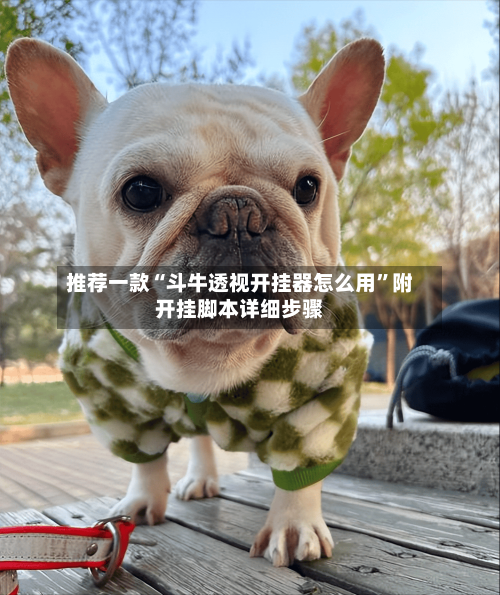 推荐一款“斗牛透视开挂器怎么用”附开挂脚本详细步骤