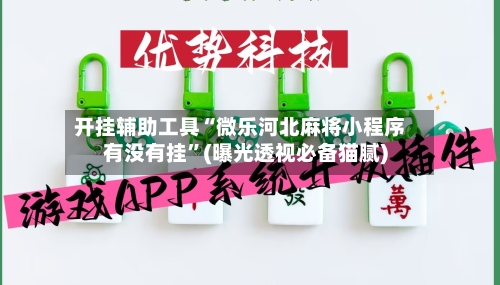 开挂辅助工具“微乐河北麻将小程序有没有挂”(曝光透视必备猫腻)