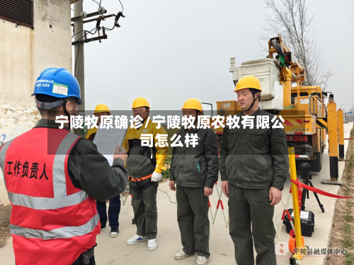 宁陵牧原确诊/宁陵牧原农牧有限公司怎么样