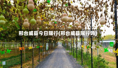 邢台威县今日限行(邢台威县限行吗)