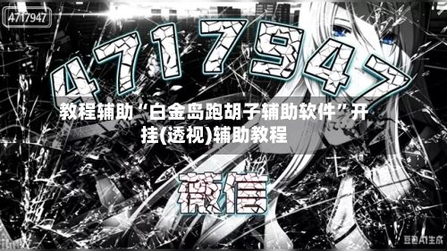 教程辅助“白金岛跑胡子辅助软件”开挂(透视)辅助教程