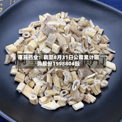 康辰药业：截至8月31日公司累计回购股份1998804股-第1张图片