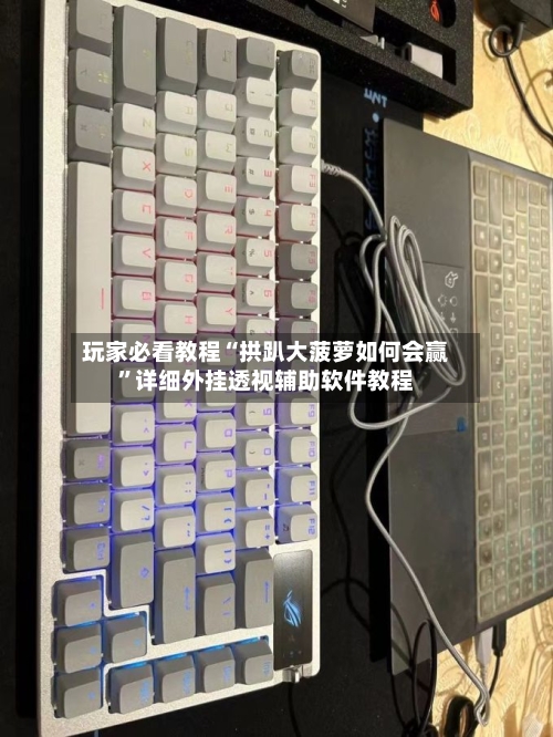 玩家必看教程“拱趴大菠萝如何会赢”详细外挂透视辅助软件教程
