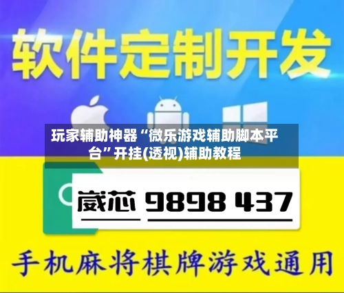 玩家辅助神器“微乐游戏辅助脚本平台”开挂(透视)辅助教程