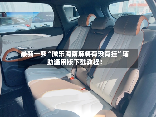 最新一款“微乐海南麻将有没有挂”辅助通用版下载教程！