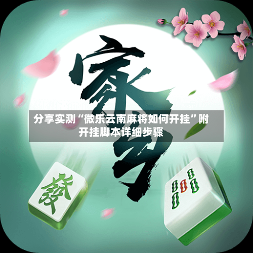 分享实测“微乐云南麻将如何开挂”附开挂脚本详细步骤