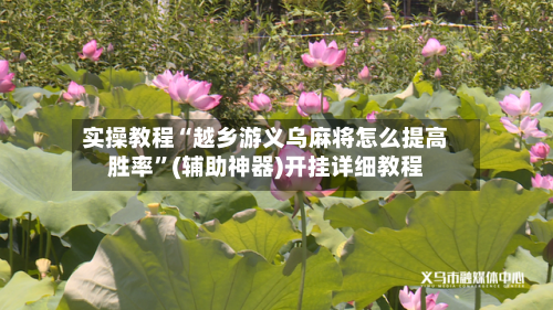 实操教程“越乡游义乌麻将怎么提高胜率”(辅助神器)开挂详细教程