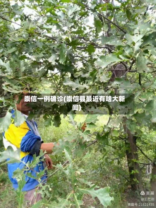 崇信一例确诊(崇信县最近有啥大新闻)