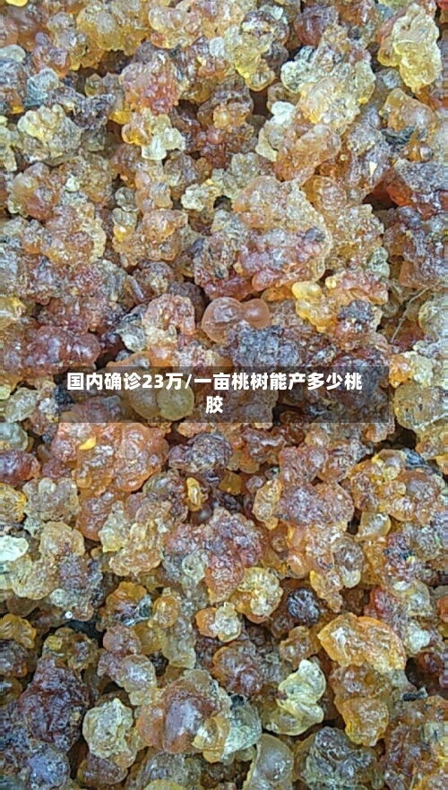 国内确诊23万/一亩桃树能产多少桃胶