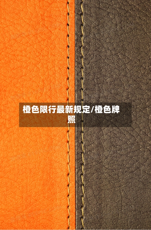橙色限行最新规定/橙色牌照