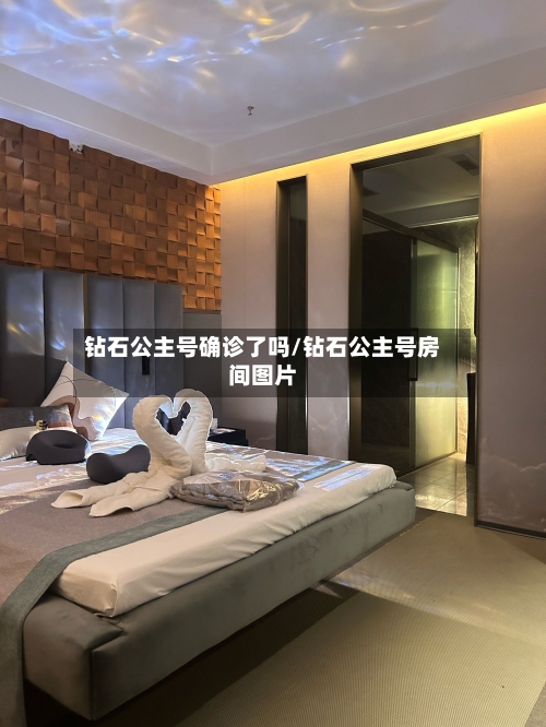 钻石公主号确诊了吗/钻石公主号房间图片