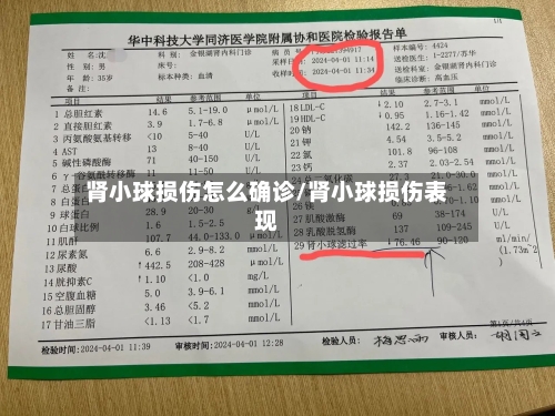 肾小球损伤怎么确诊/肾小球损伤表现