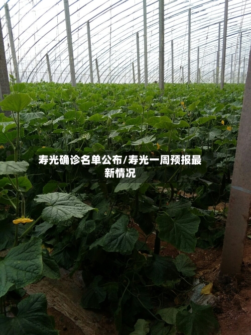 寿光确诊名单公布/寿光一周预报最新情况