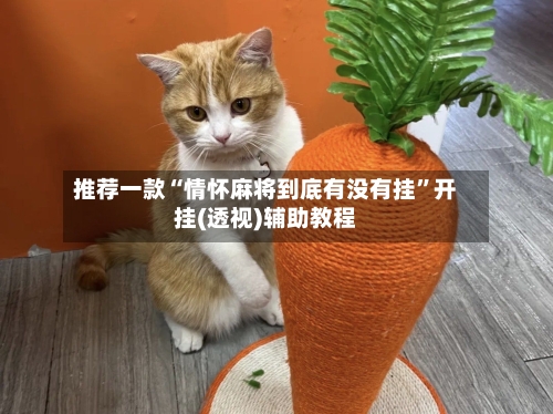 推荐一款“情怀麻将到底有没有挂”开挂(透视)辅助教程