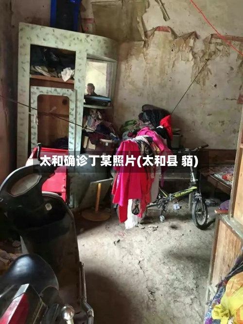 太和确诊丁某照片(太和县 貊)