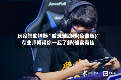 玩家辅助神器“哈灵辅助器(免费版)”专业师傅带你一起了解(确实有挂