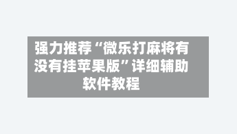 强力推荐“微乐打麻将有没有挂苹果版”详细辅助软件教程