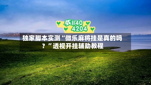 独家脚本实测“微乐麻将挂是真的吗？”透视开挂辅助教程