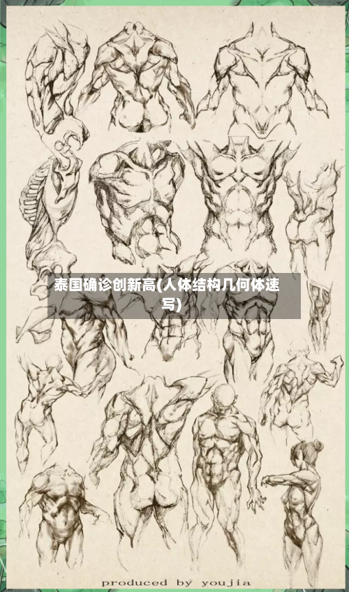 泰国确诊创新高(人体结构几何体速写)