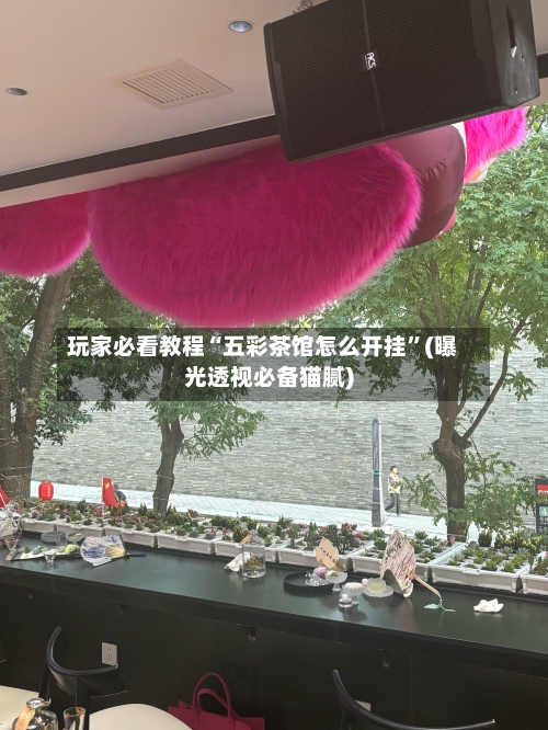 玩家必看教程“五彩茶馆怎么开挂”(曝光透视必备猫腻)