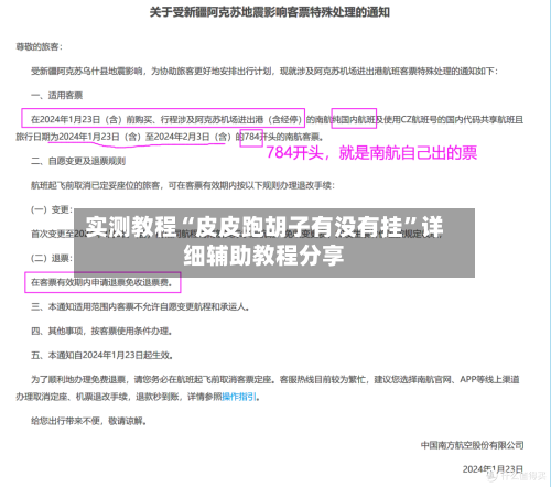实测教程“皮皮跑胡子有没有挂”详细辅助教程分享