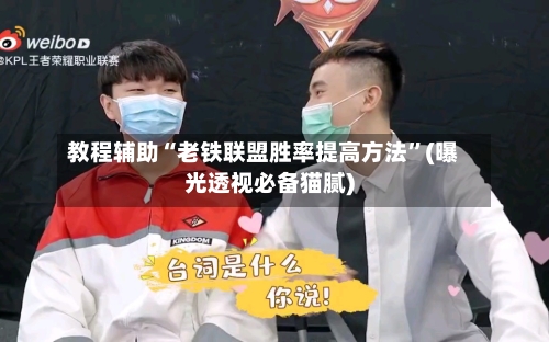 教程辅助“老铁联盟胜率提高方法”(曝光透视必备猫腻)