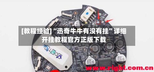 [教程经验]“迅奇牛牛有没有挂”详细开挂教程官方正版下载