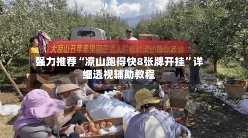 强力推荐“凉山跑得快8张牌开挂”详细透视辅助教程