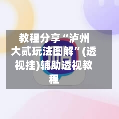 教程分享“泸州大贰玩法图解”(透视挂)辅助透视教程