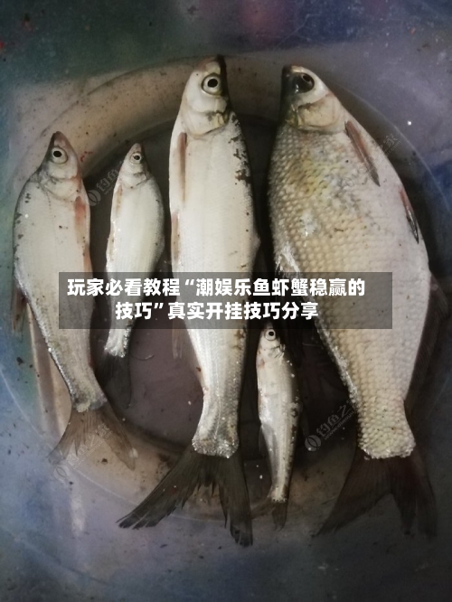 玩家必看教程“潮娱乐鱼虾蟹稳赢的技巧”真实开挂技巧分享