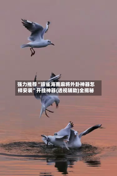 强力推荐“琼雀海南麻将外卦神器怎样安装”开挂神器{透视辅助}全揭秘