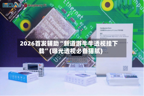 2026首发辅助“新道游牛牛透视挂下载”(曝光透视必备猫腻)