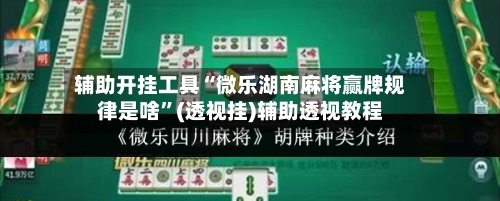 辅助开挂工具“微乐湖南麻将赢牌规律是啥”(透视挂)辅助透视教程