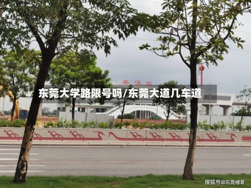 东莞大学路限号吗/东莞大道几车道
