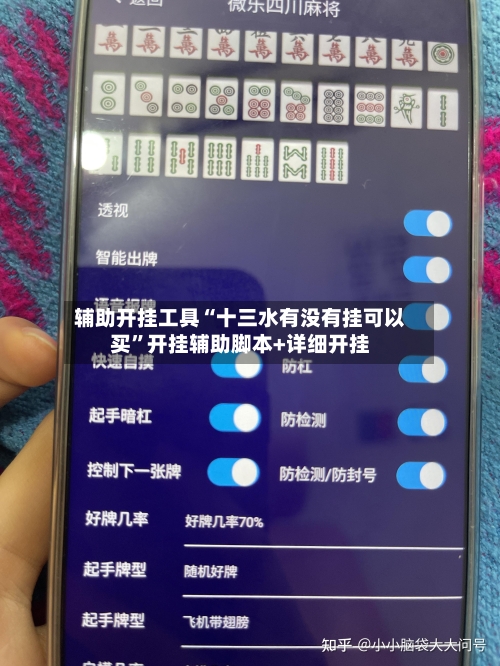 辅助开挂工具“十三水有没有挂可以买”开挂辅助脚本+详细开挂
