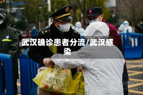 武汉确诊患者分流/武汉感染