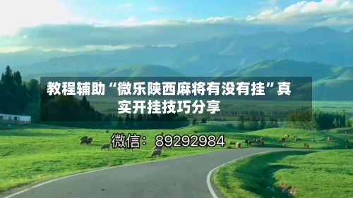 教程辅助“微乐陕西麻将有没有挂”真实开挂技巧分享