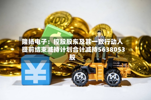 隆扬电子:控股股东及其一致行动人提前结束减持计划合计减持5638053股-第1张图片